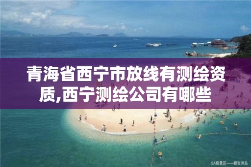 青海省西寧市放線有測繪資質(zhì),西寧測繪公司有哪些