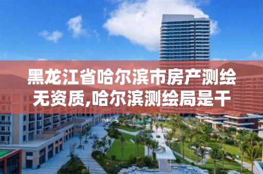 黑龍江省哈爾濱市房產測繪無資質,哈爾濱測繪局是干什么的