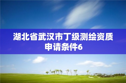 湖北省武漢市丁級測繪資質申請條件6