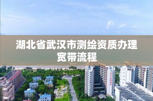 湖北省武漢市測繪資質辦理寬帶流程