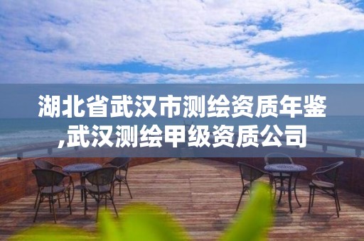 湖北省武漢市測繪資質(zhì)年鑒,武漢測繪甲級資質(zhì)公司