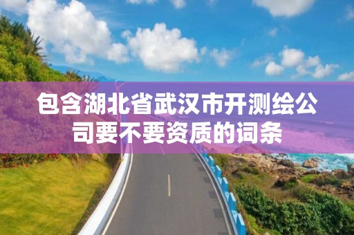 包含湖北省武漢市開測繪公司要不要資質的詞條