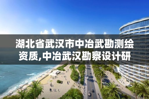 湖北省武漢市中冶武勘測繪資質(zhì),中冶武漢勘察設計研究院有限公司