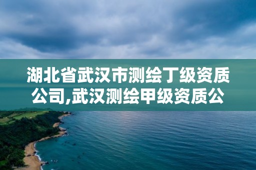 湖北省武漢市測繪丁級資質公司,武漢測繪甲級資質公司