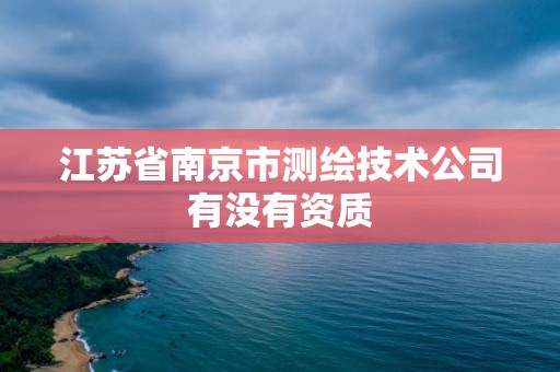 江蘇省南京市測繪技術公司有沒有資質