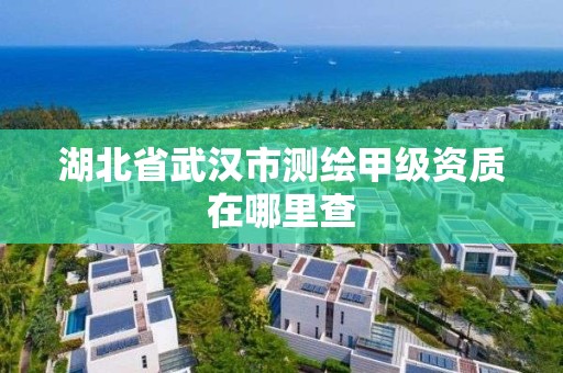 湖北省武漢市測繪甲級資質在哪里查