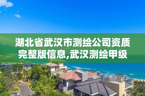 湖北省武漢市測繪公司資質完整版信息,武漢測繪甲級資質公司。