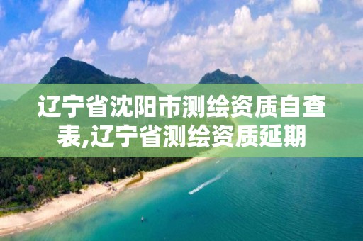 遼寧省沈陽市測繪資質自查表,遼寧省測繪資質延期