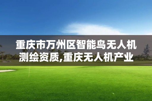 重慶市萬州區智能鳥無人機測繪資質,重慶無人機產業協會。