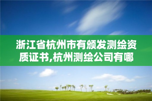 浙江省杭州市有頒發(fā)測繪資質(zhì)證書,杭州測繪公司有哪幾家。