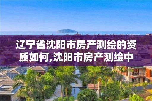 遼寧省沈陽市房產測繪的資質如何,沈陽市房產測繪中心官網