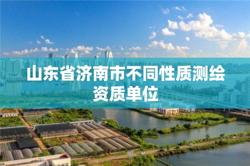 山東省濟南市不同性質測繪資質單位