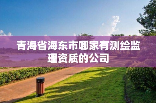 青海省海東市哪家有測繪監理資質的公司