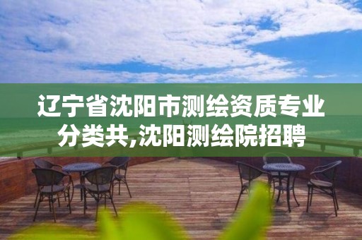 遼寧省沈陽市測繪資質專業分類共,沈陽測繪院招聘