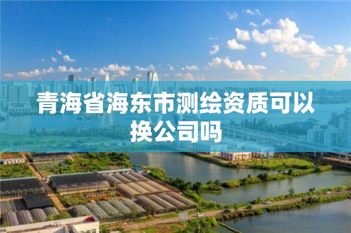 青海省海東市測繪資質(zhì)可以換公司嗎