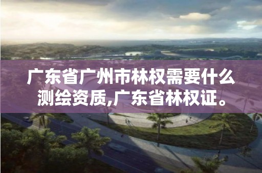 廣東省廣州市林權(quán)需要什么測繪資質(zhì),廣東省林權(quán)證。