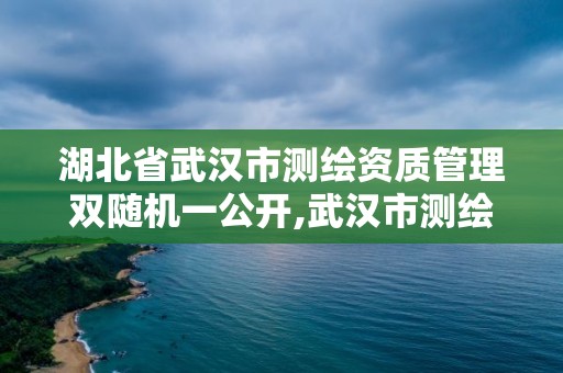 湖北省武漢市測繪資質(zhì)管理雙隨機一公開,武漢市測繪院。