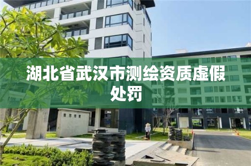 湖北省武漢市測繪資質虛假處罰