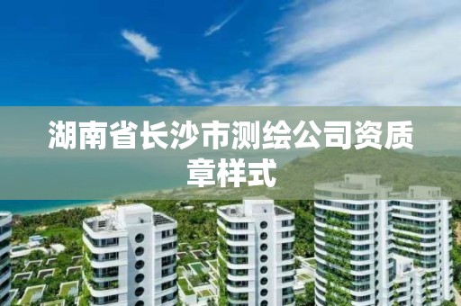 湖南省長沙市測繪公司資質(zhì)章樣式