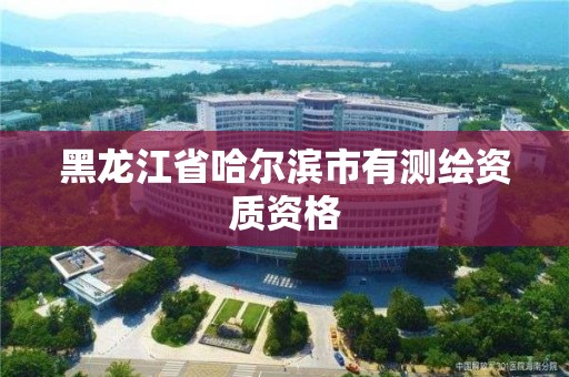 黑龍江省哈爾濱市有測繪資質(zhì)資格