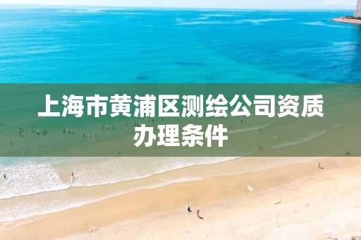 上海市黃浦區測繪公司資質辦理條件