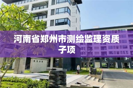 河南省鄭州市測繪監理資質子項