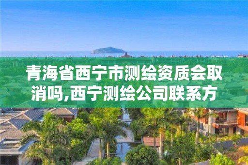 青海省西寧市測繪資質會取消嗎,西寧測繪公司聯系方式