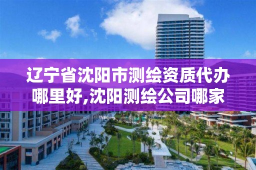 遼寧省沈陽市測繪資質代辦哪里好,沈陽測繪公司哪家強哪家好