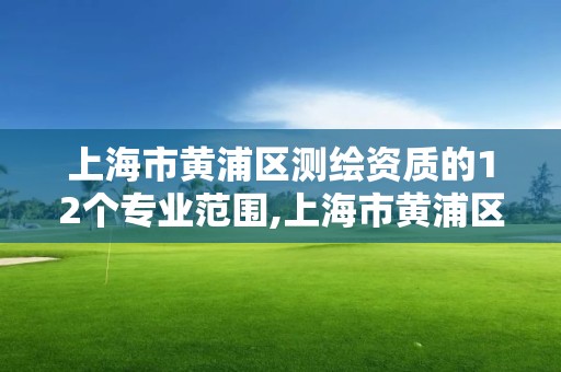 上海市黃浦區(qū)測繪資質(zhì)的12個(gè)專業(yè)范圍,上海市黃浦區(qū)測繪中心。