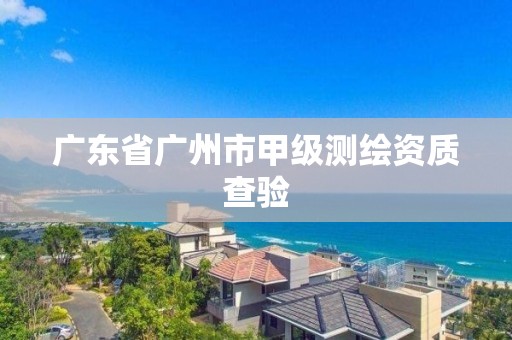 廣東省廣州市甲級測繪資質(zhì)查驗