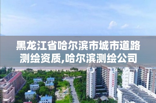 黑龍江省哈爾濱市城市道路測繪資質,哈爾濱測繪公司有哪些