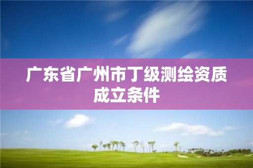 廣東省廣州市丁級測繪資質成立條件