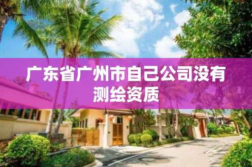 廣東省廣州市自己公司沒有測繪資質