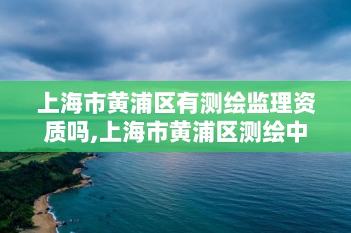 上海市黃浦區有測繪監理資質嗎,上海市黃浦區測繪中心