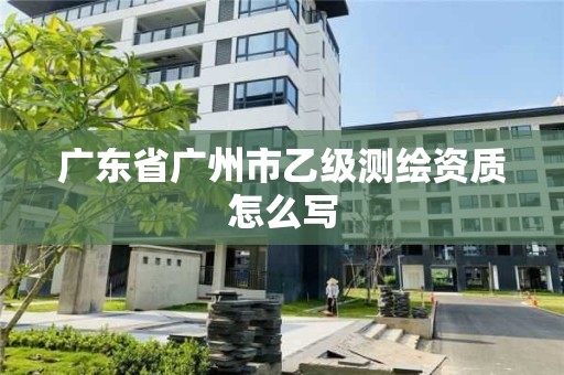 廣東省廣州市乙級測繪資質怎么寫