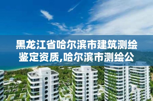 黑龍江省哈爾濱市建筑測繪鑒定資質,哈爾濱市測繪公司