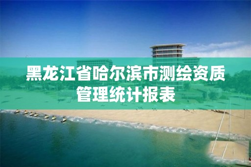 黑龍江省哈爾濱市測繪資質管理統計報表