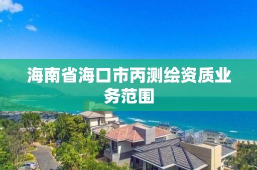 海南省海口市丙測繪資質業務范圍