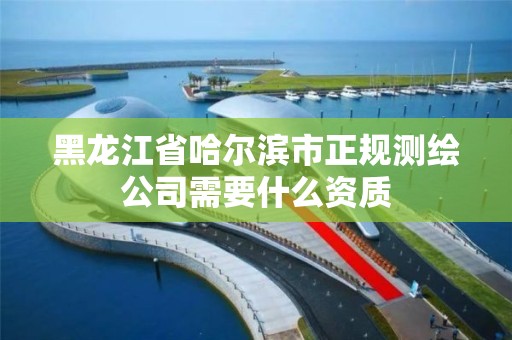 黑龍江省哈爾濱市正規測繪公司需要什么資質