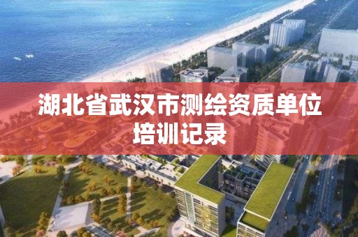 湖北省武漢市測繪資質單位培訓記錄