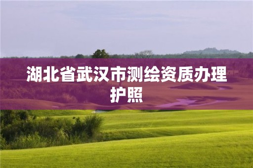 湖北省武漢市測(cè)繪資質(zhì)辦理護(hù)照