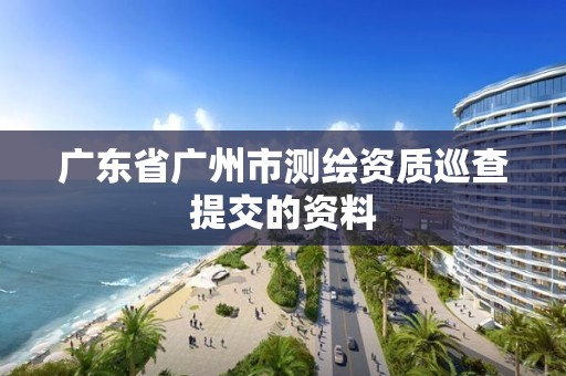 廣東省廣州市測繪資質巡查提交的資料