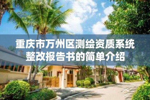 重慶市萬州區測繪資質系統整改報告書的簡單介紹