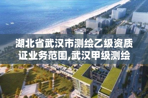 湖北省武漢市測繪乙級資質證業務范圍,武漢甲級測繪資質名錄。