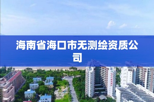 海南省海口市無測繪資質公司