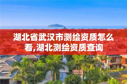 湖北省武漢市測繪資質怎么看,湖北測繪資質查詢