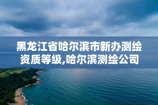 黑龍江省哈爾濱市新辦測繪資質等級,哈爾濱測繪公司哪家好