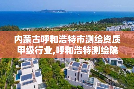 內蒙古呼和浩特市測繪資質甲級行業,呼和浩特測繪院