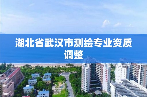 湖北省武漢市測繪專業資質調整