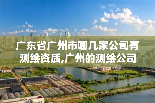 廣東省廣州市哪幾家公司有測繪資質,廣州的測繪公司有哪些。